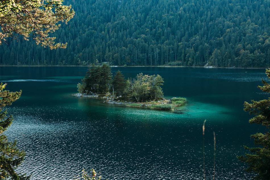 Water Nature Tree