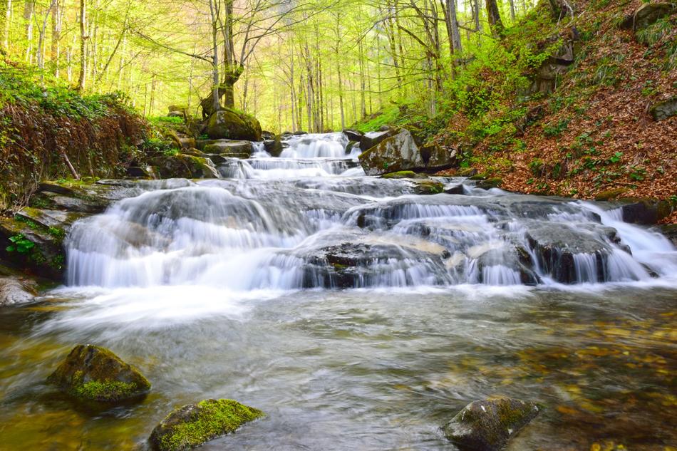Water Stream Nature