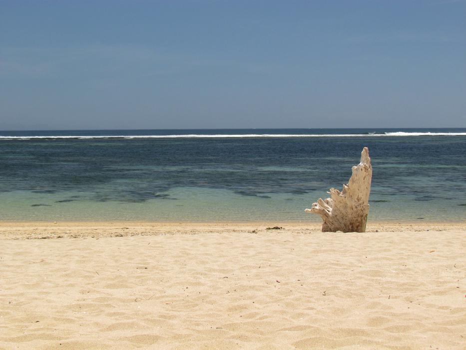 Beach Sea Water