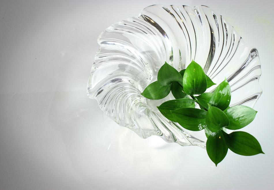 Nature Glass Texture