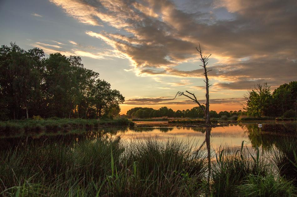Nature Reflection Waters