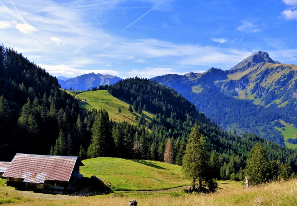 Nature France Alps Haute