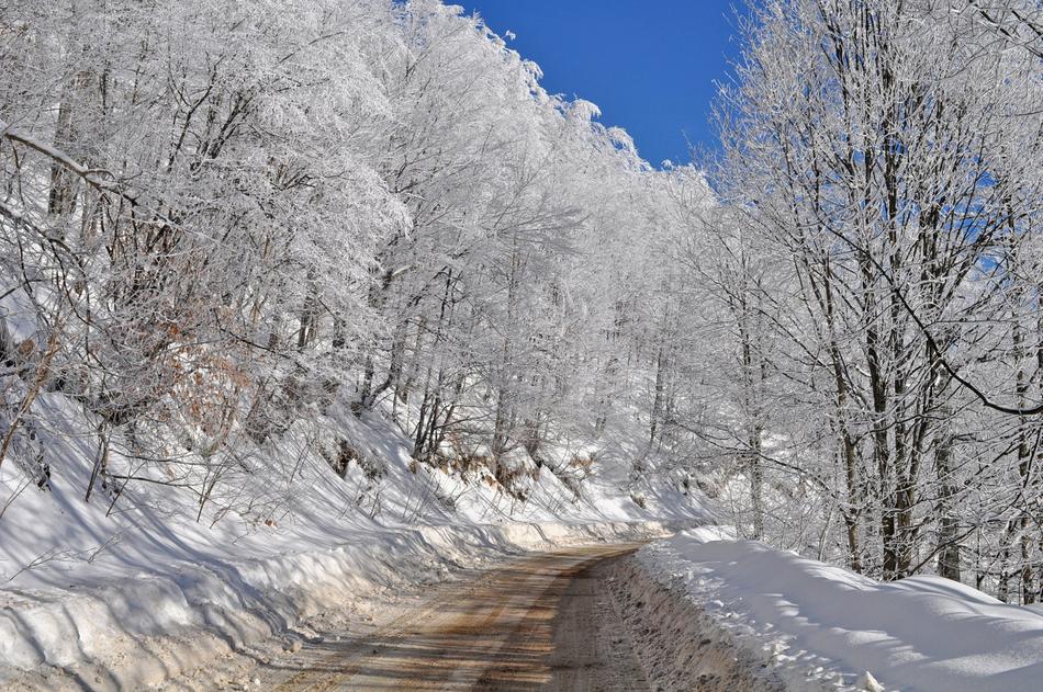 Winter Snow Frost