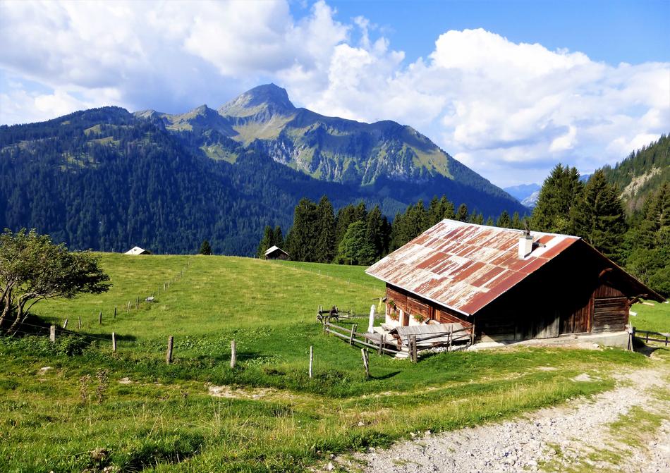 Nature France Alps Haute