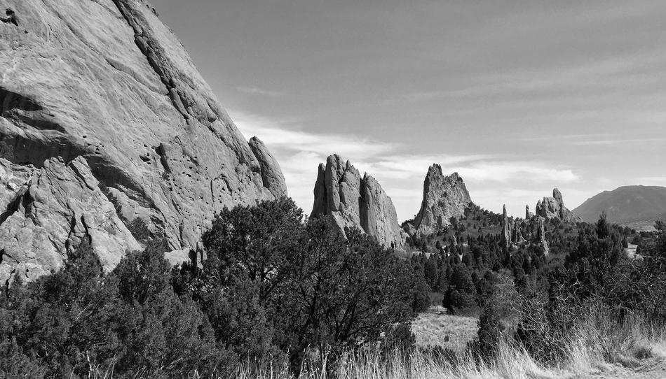 trees with rocks landscape view