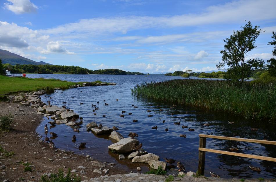 water river stones beach