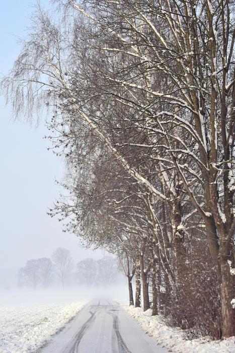 Snow Winter Frost