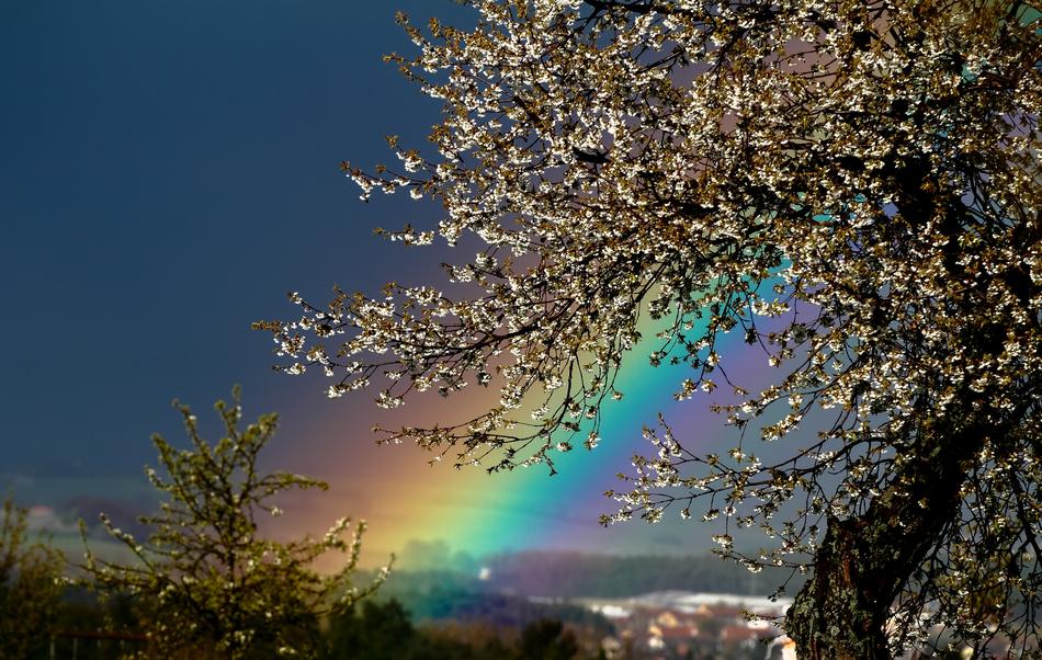 Nature Landscape Background
