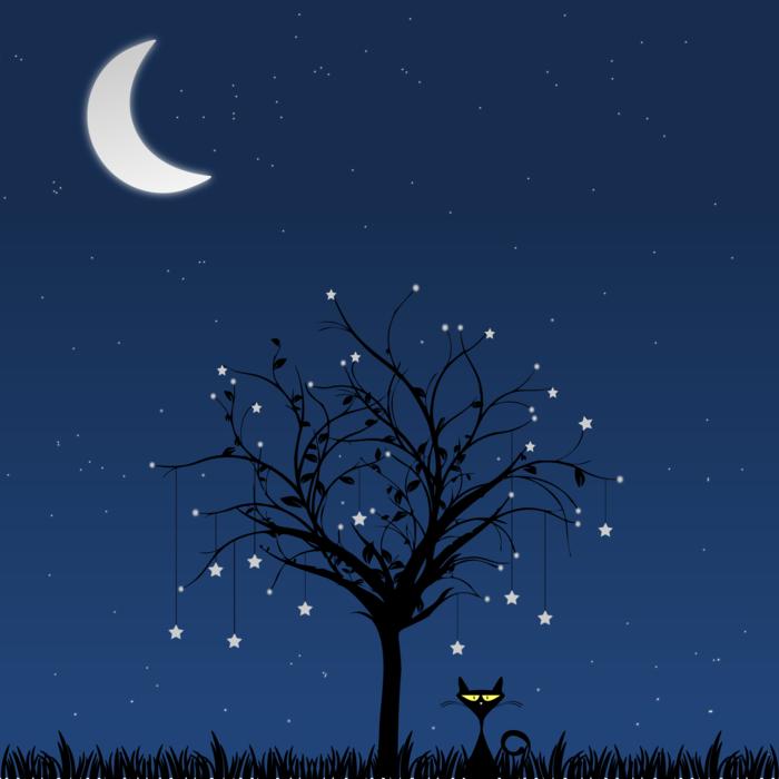 the moon the sky is beautiful trees