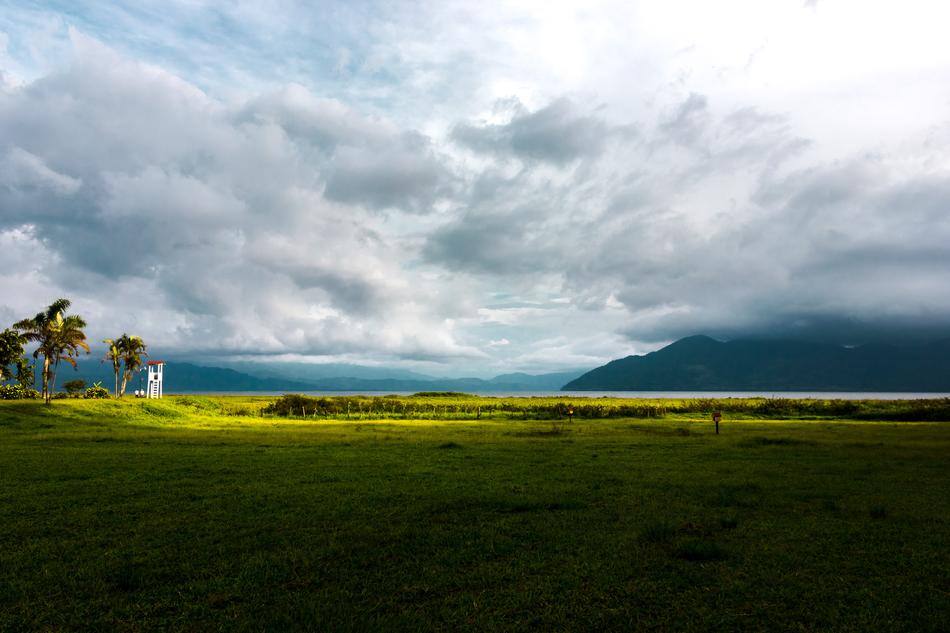 Panoramic Grass Nature