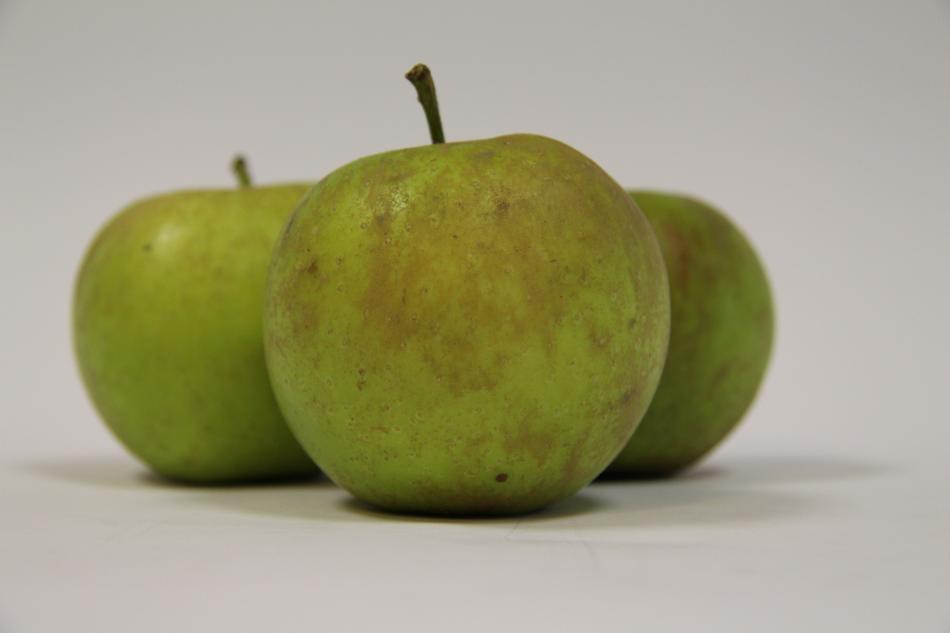 ripe apples on a white background