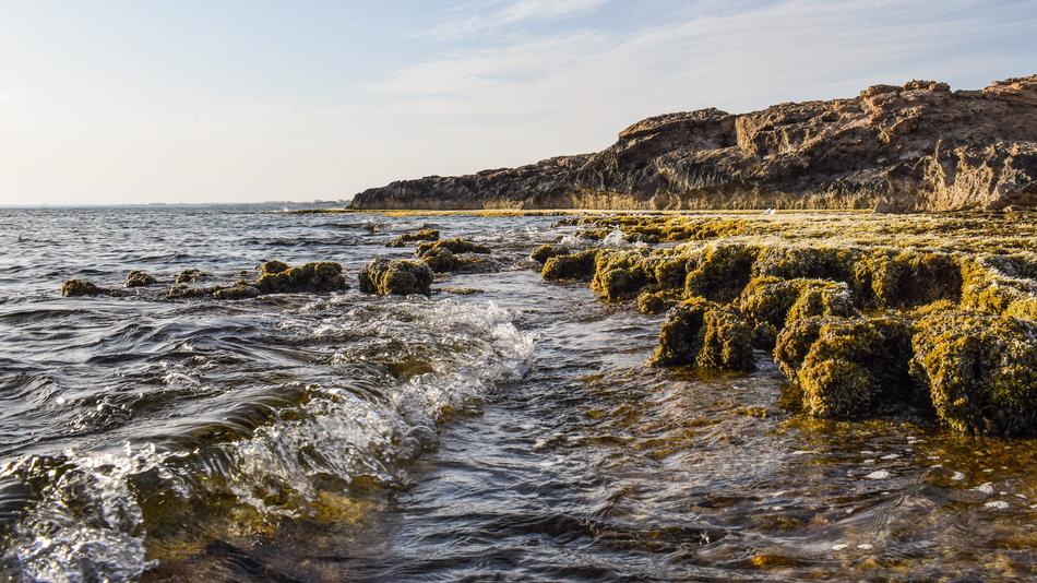 Wave Rocky Coast Nature
