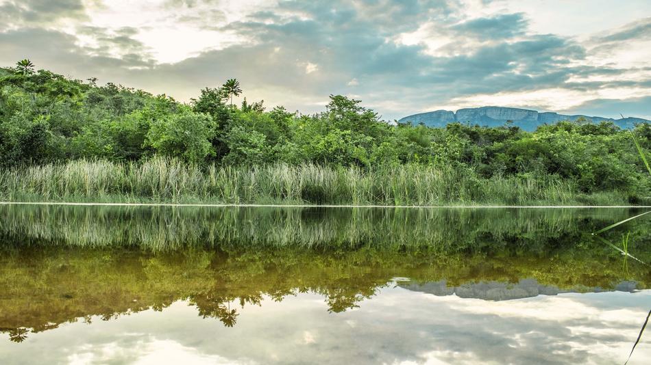Water Nature Landscape