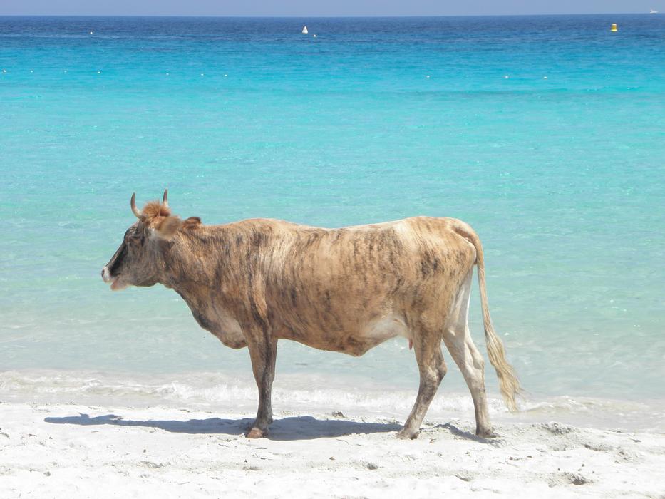Sand Body Of Water Summer