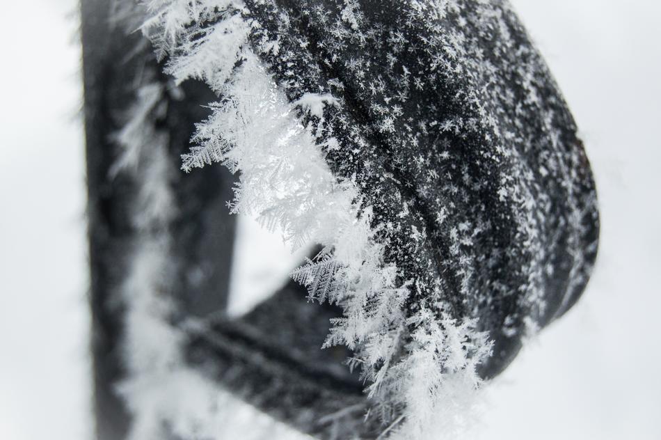 Winter Snow Nature