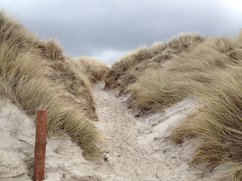 Dune Landscape