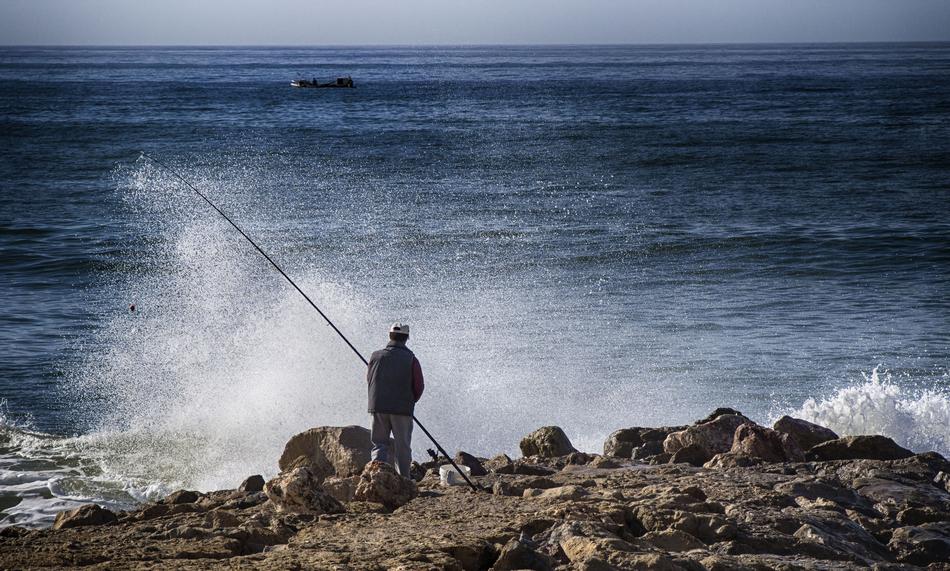 Fishing Fish Nature