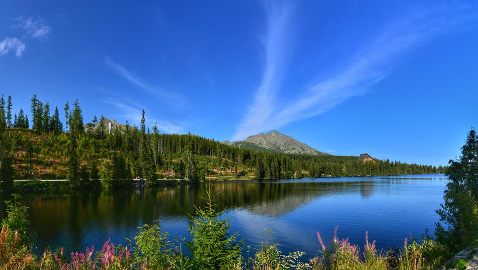 Nature Lake Water