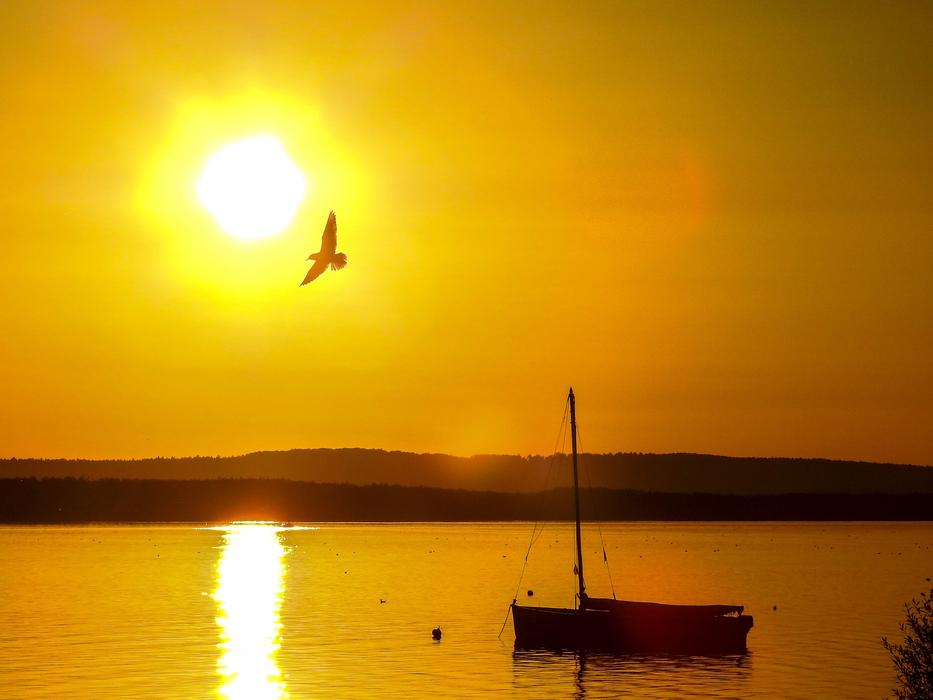 sunlight with a bird and a ship