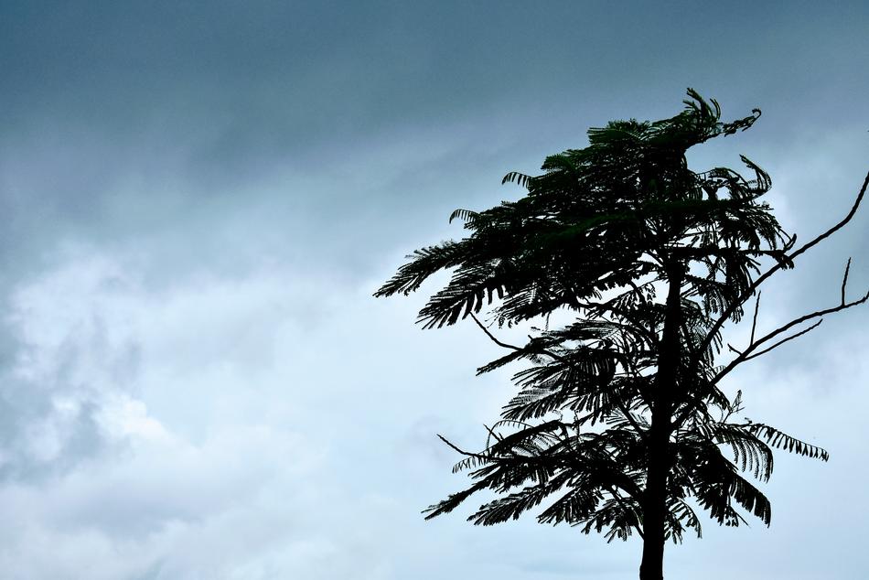 Wind Clouds Weather