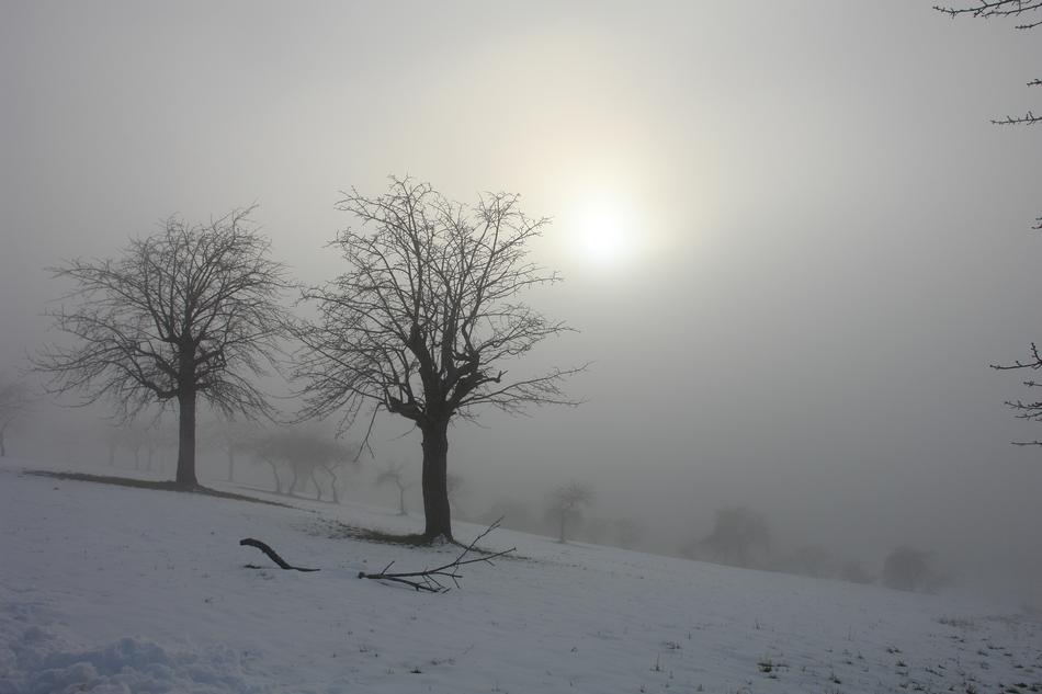Sun Winter Snow