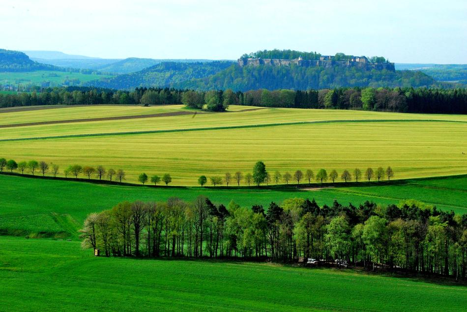Field Grass Landscape