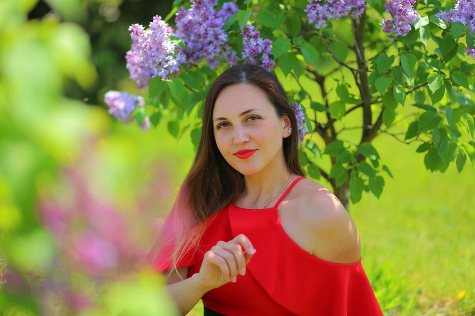 Nature Summer Flower