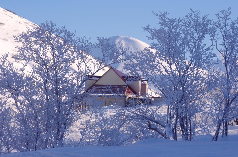 big house in the winter woods