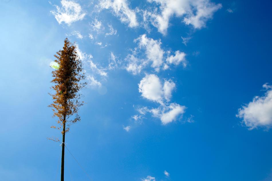 Nature Heaven Summer Blue