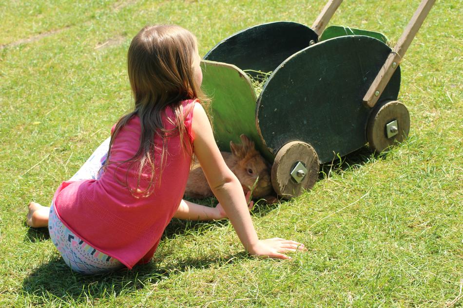 The Little Girl Fun Nature Farm