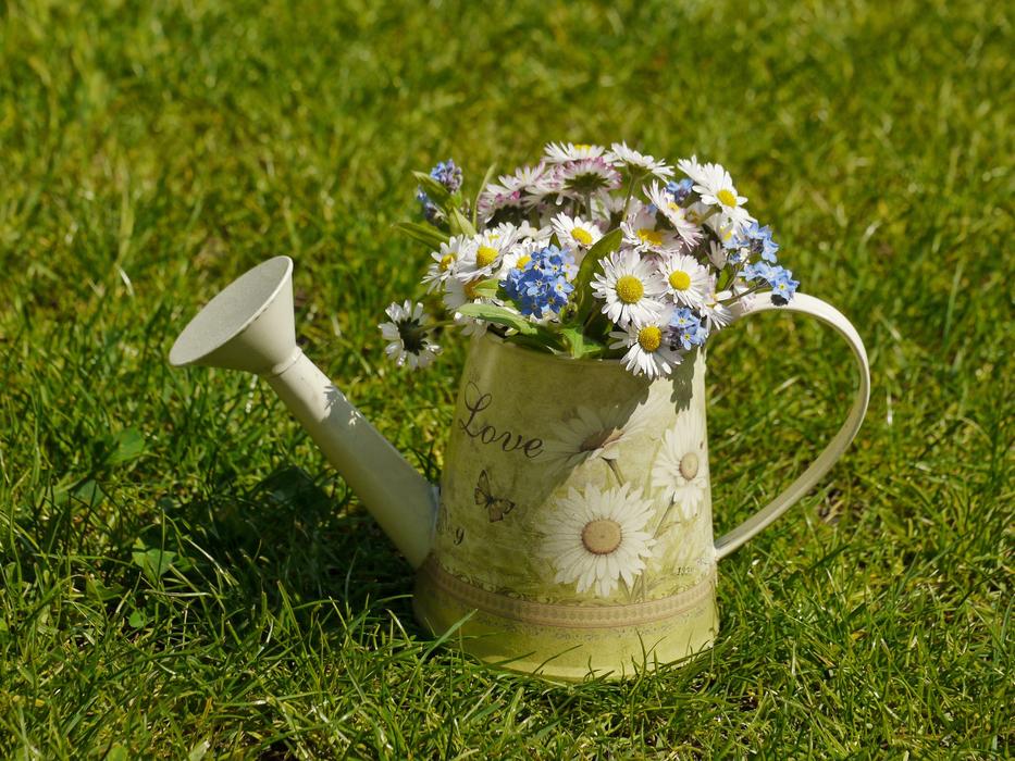 yellow watering can with flowers in the field