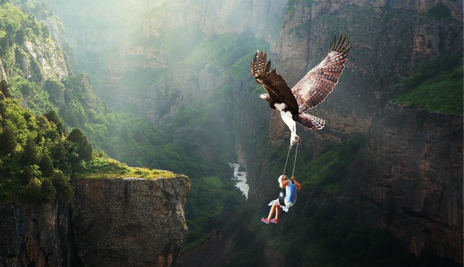 Nature Waters Flying