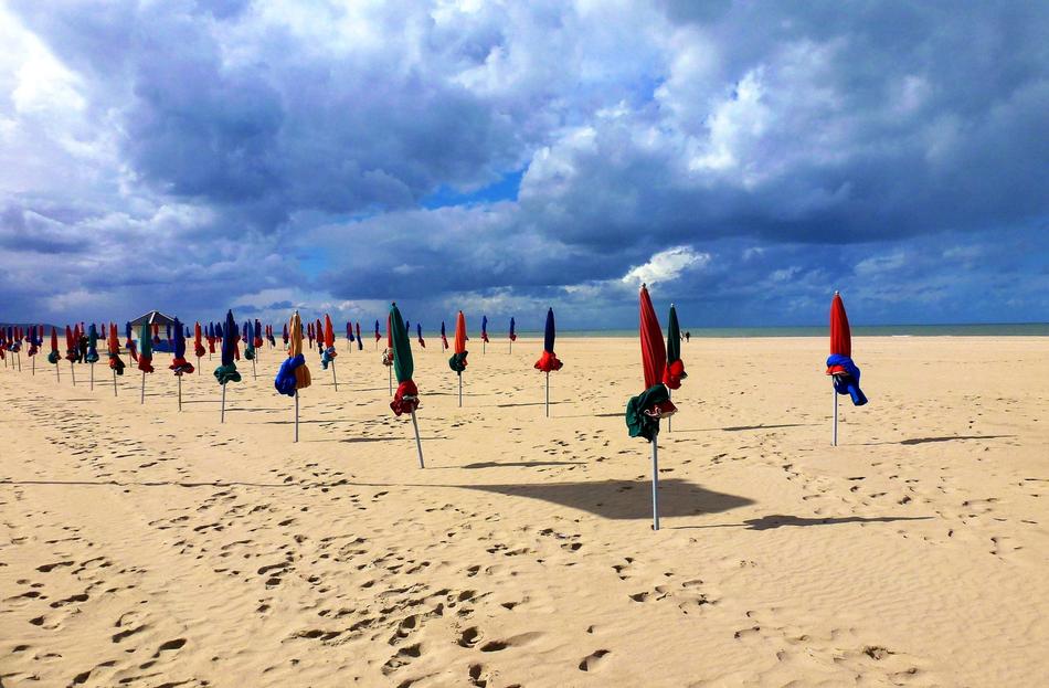 Nature France Normandy The
