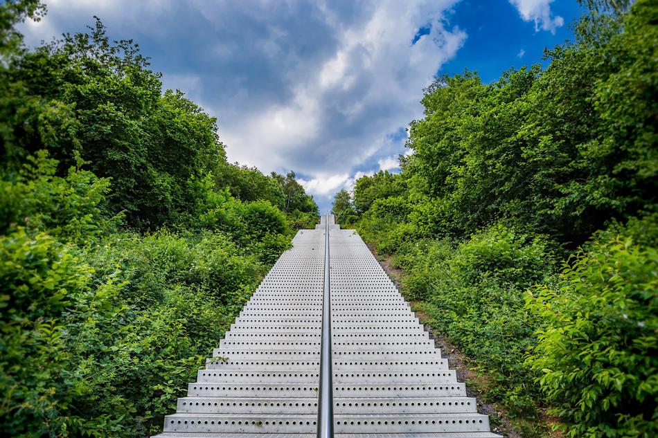Stairs Park Nature