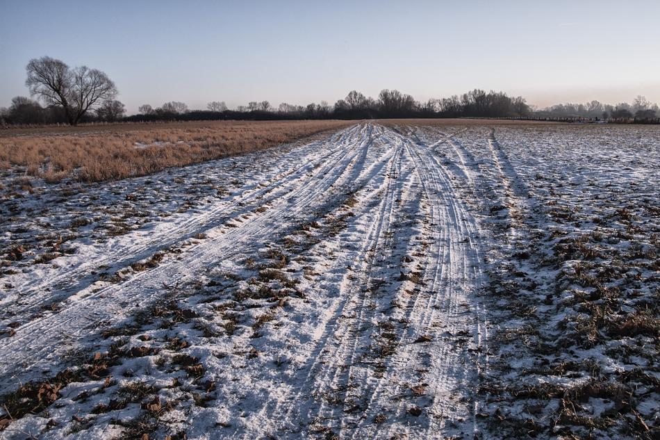 Nature Agriculture Earth