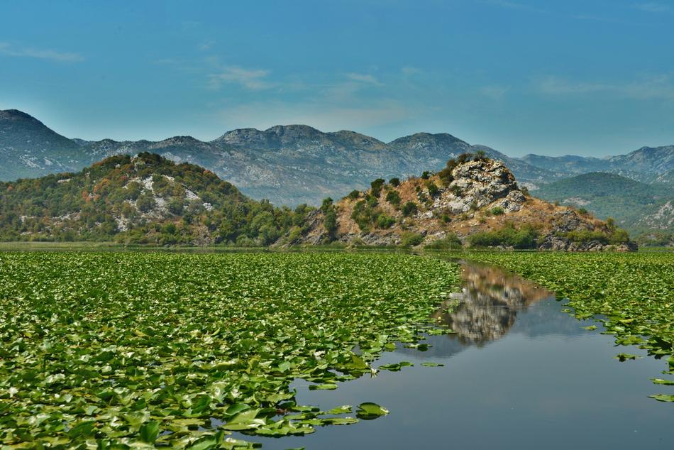 Nature Water Landscape