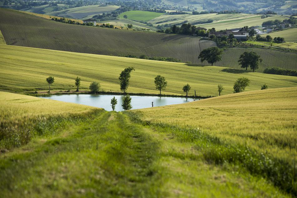 Landscape Nature Field The Hay