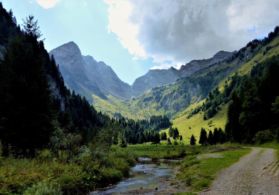 Nature France Alps