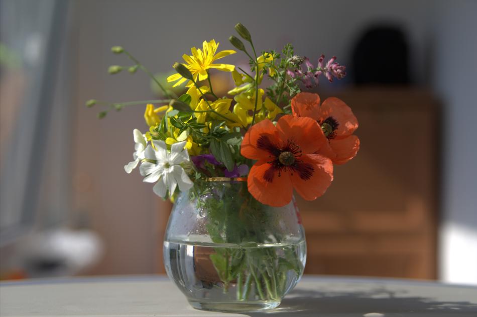 flowers in a glass vase with water