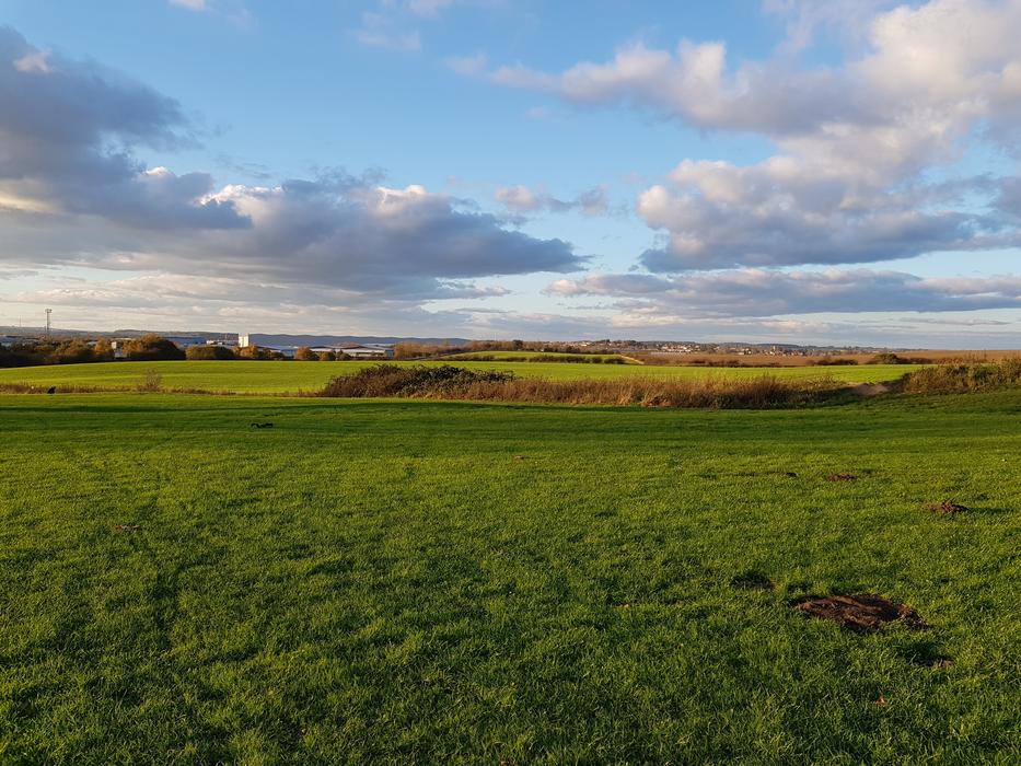Field Park