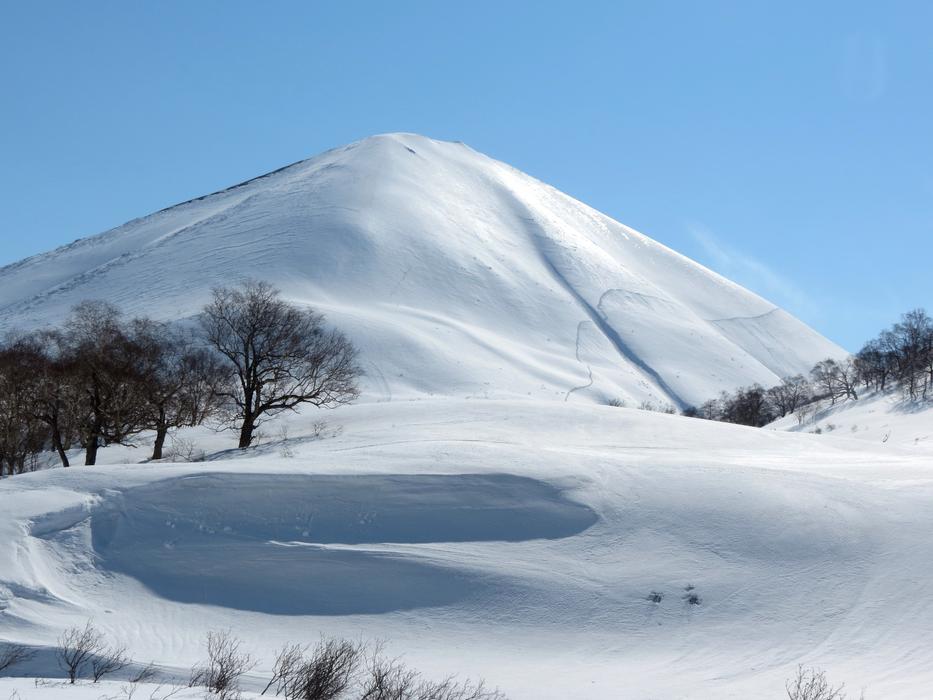 snowy mountain with trees it's cold