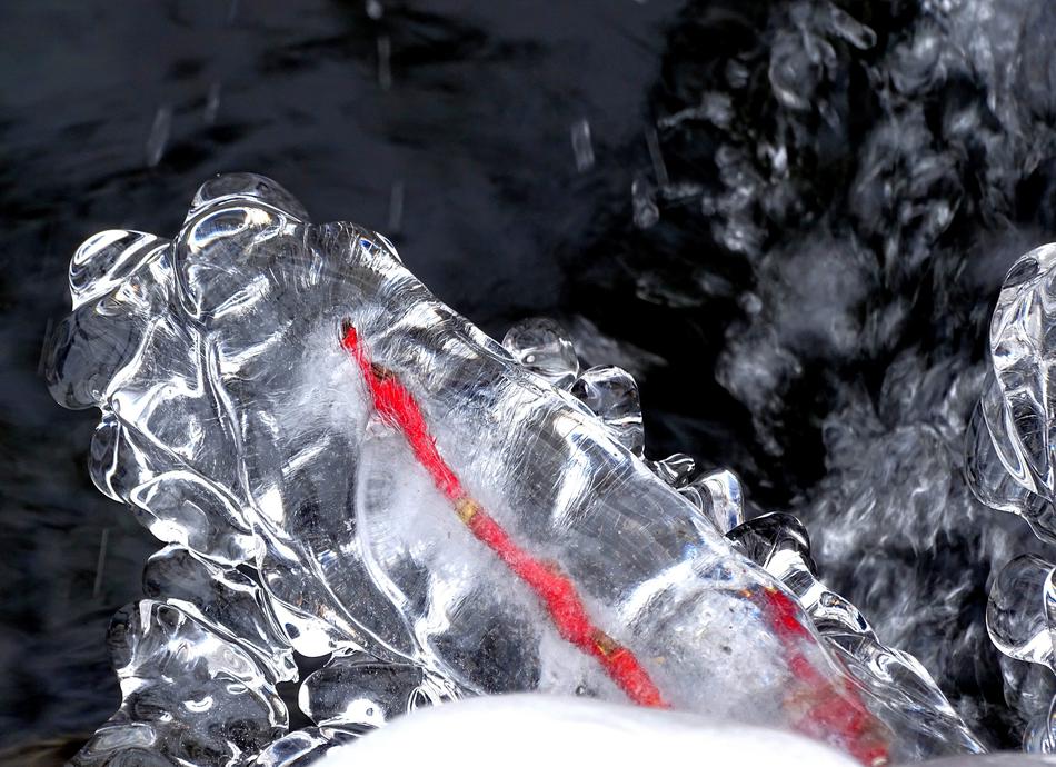 ice in red ribbon