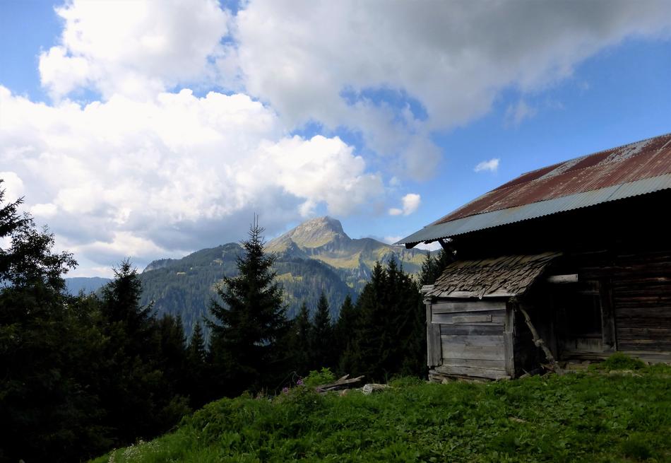 Nature France Alps