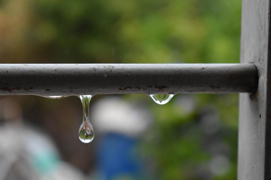 Drop Nature Green