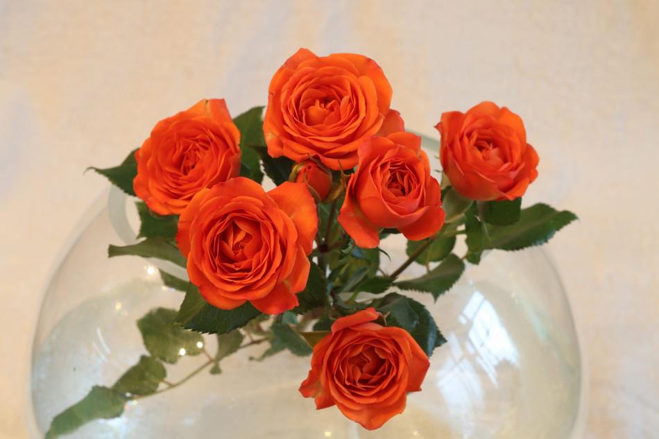 Rose Flower Bouquet