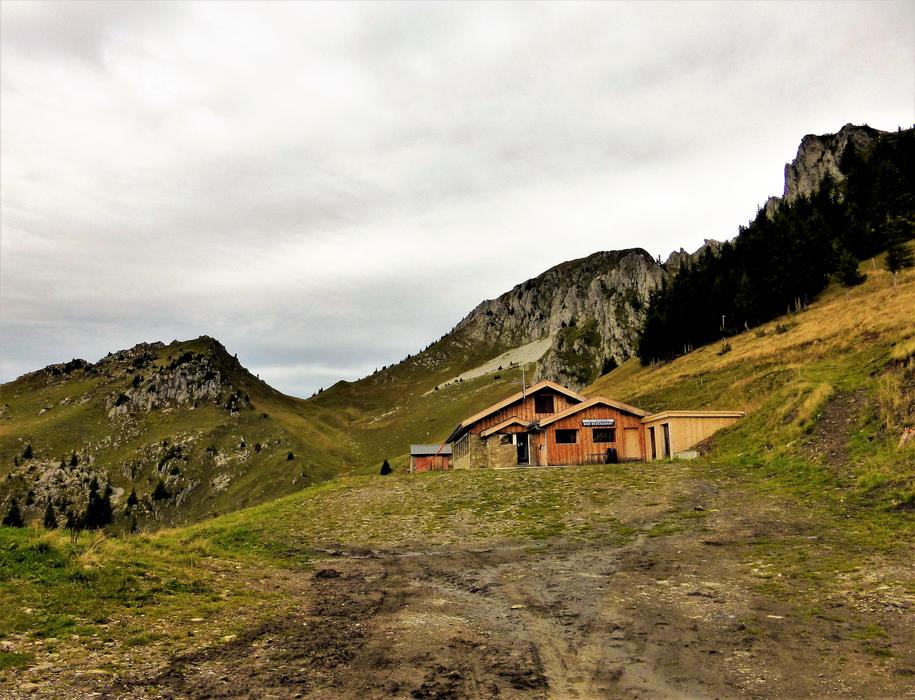 cozy mountain house
