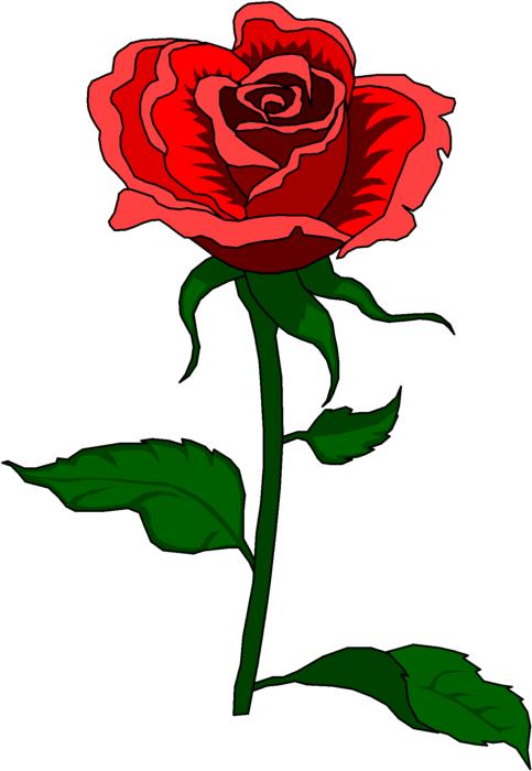 rose vintage clip art red design