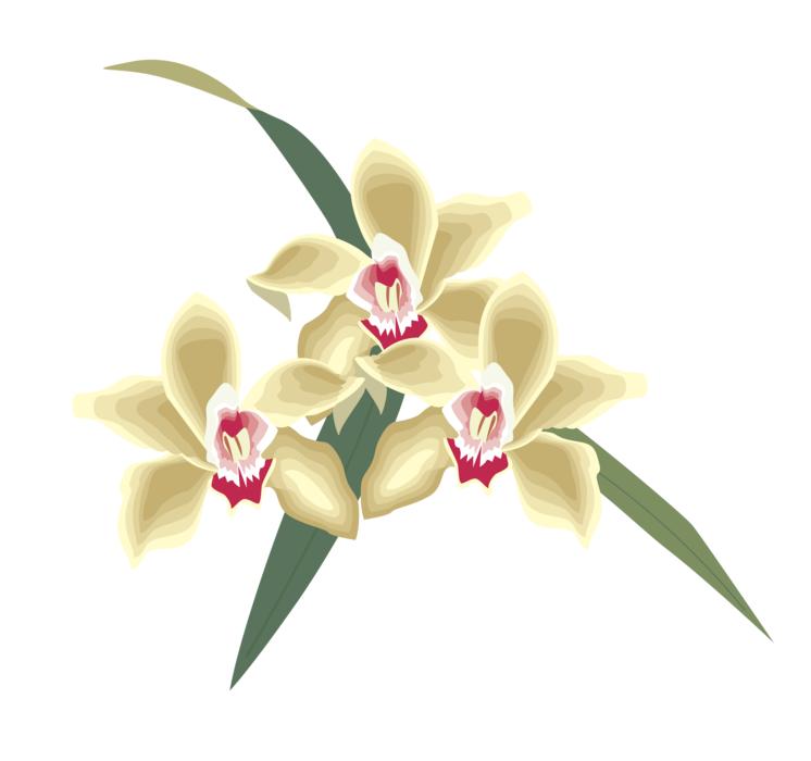 flower icon symbol plant bang