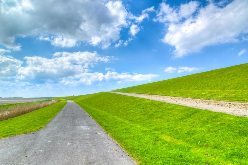 Dutch Dike Green