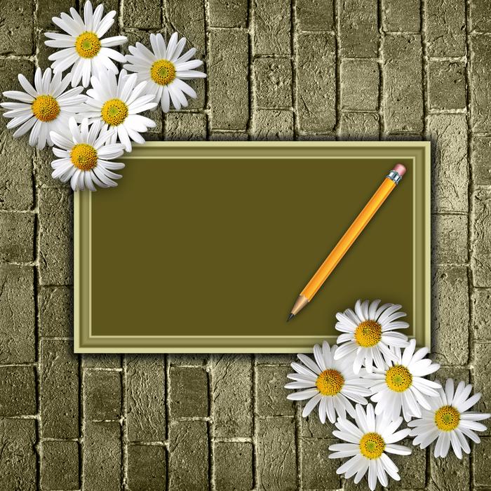 flower nature summer plant wall